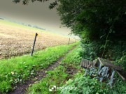 2023-09-29 08:21:57 Tiegem Paul Fol
